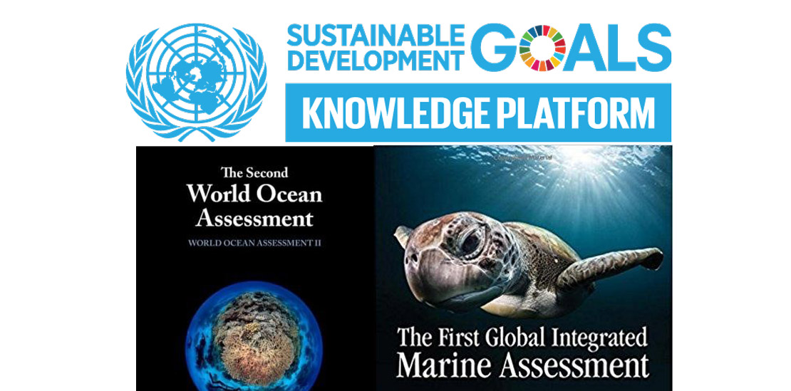 عضویت عضو هیات علمی دانشگاه در کارگروه بررسی وضعیت اقیانوس های جهان سازمان ملل